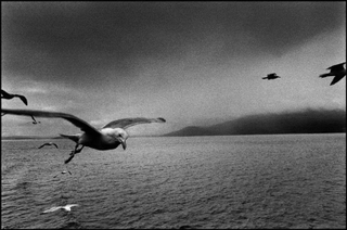 Illustration for article titled The Battle of Scotland - Josef Koudelka a Magnum photos-tol is itt van velunk! Az elobb ittunk meg egy whiskey-t!